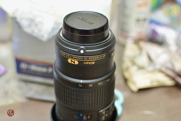 DSC_8391.jpeg
